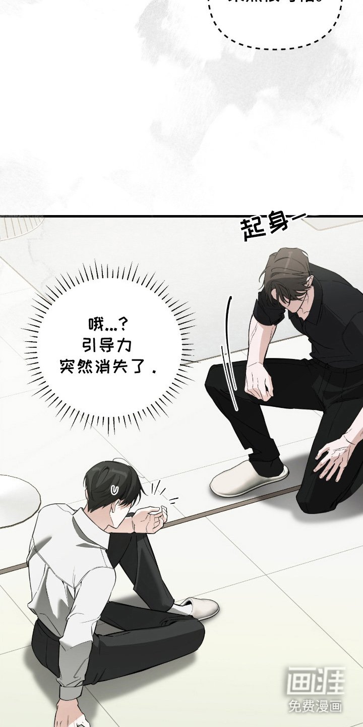 第10章：引导力