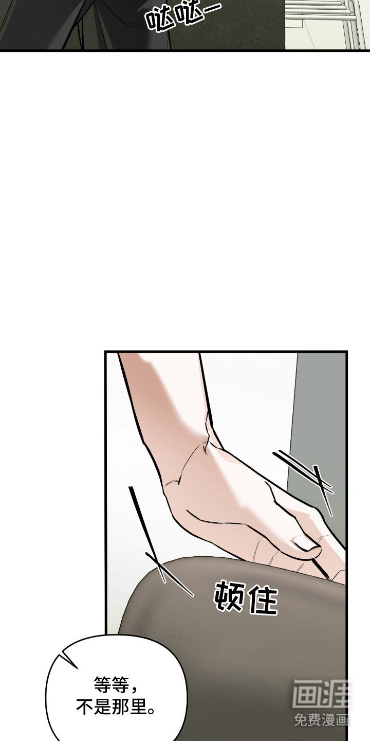 第10章：引导力