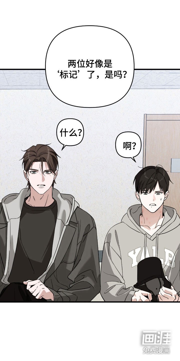 第25章：强制联系