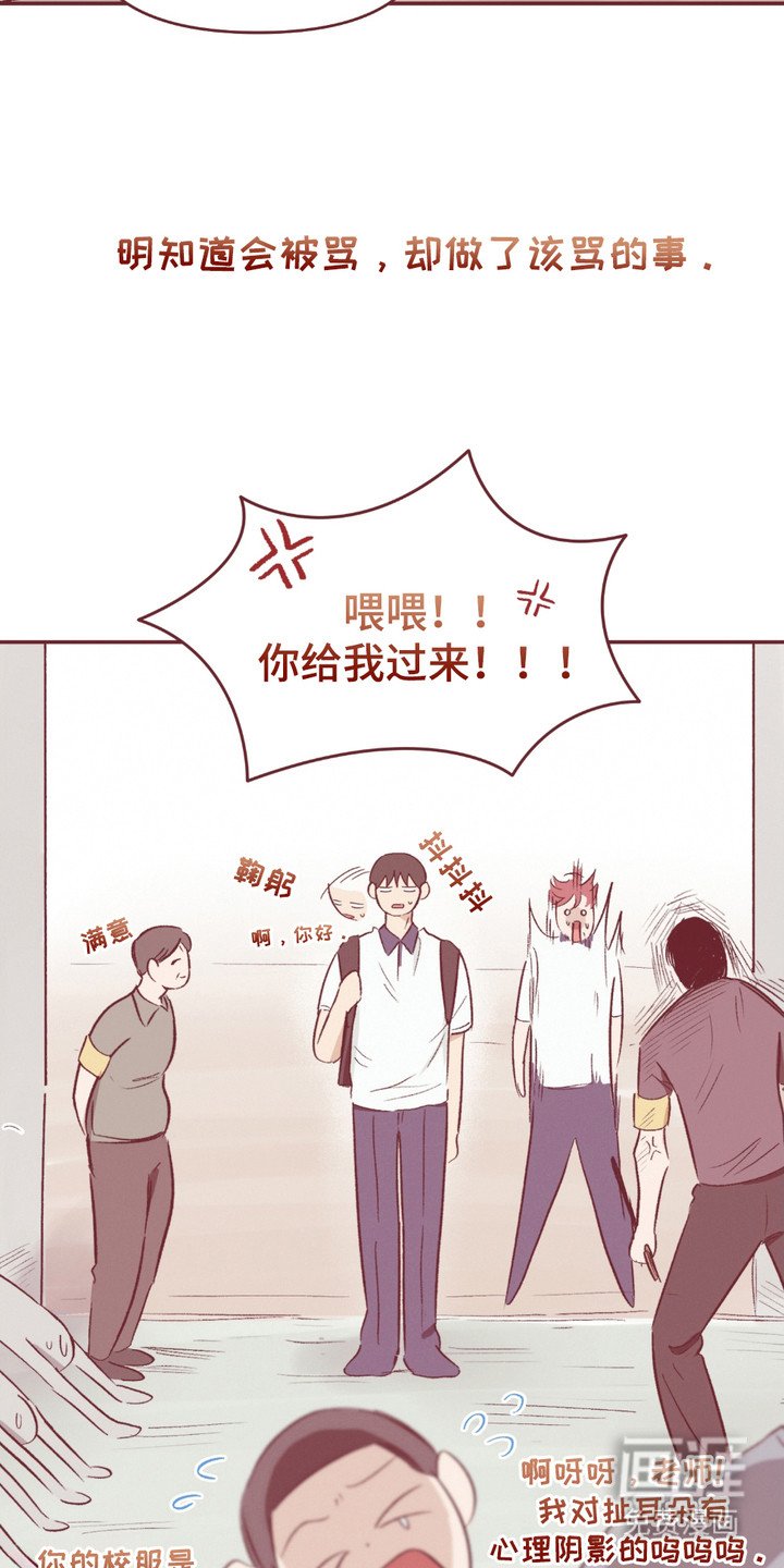 第1章：原则