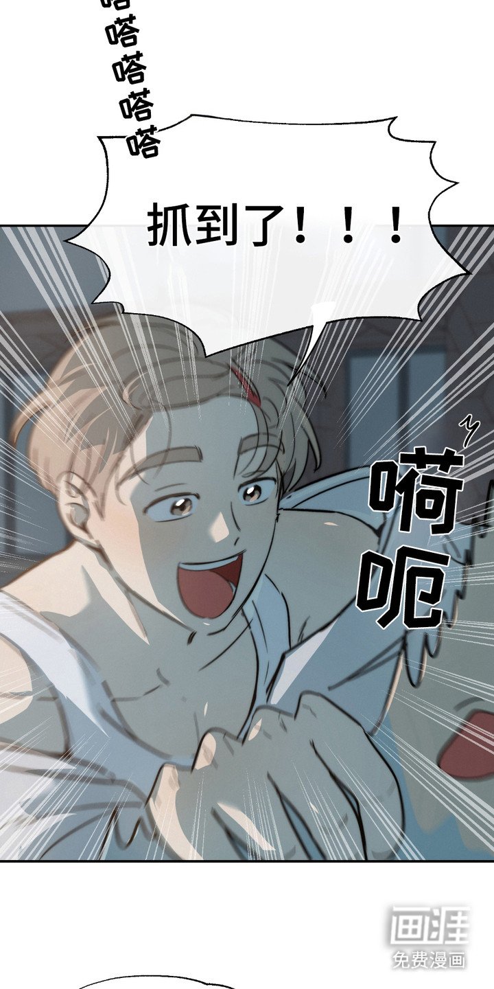 第1章：原则