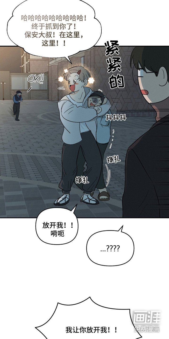 第1章：原则
