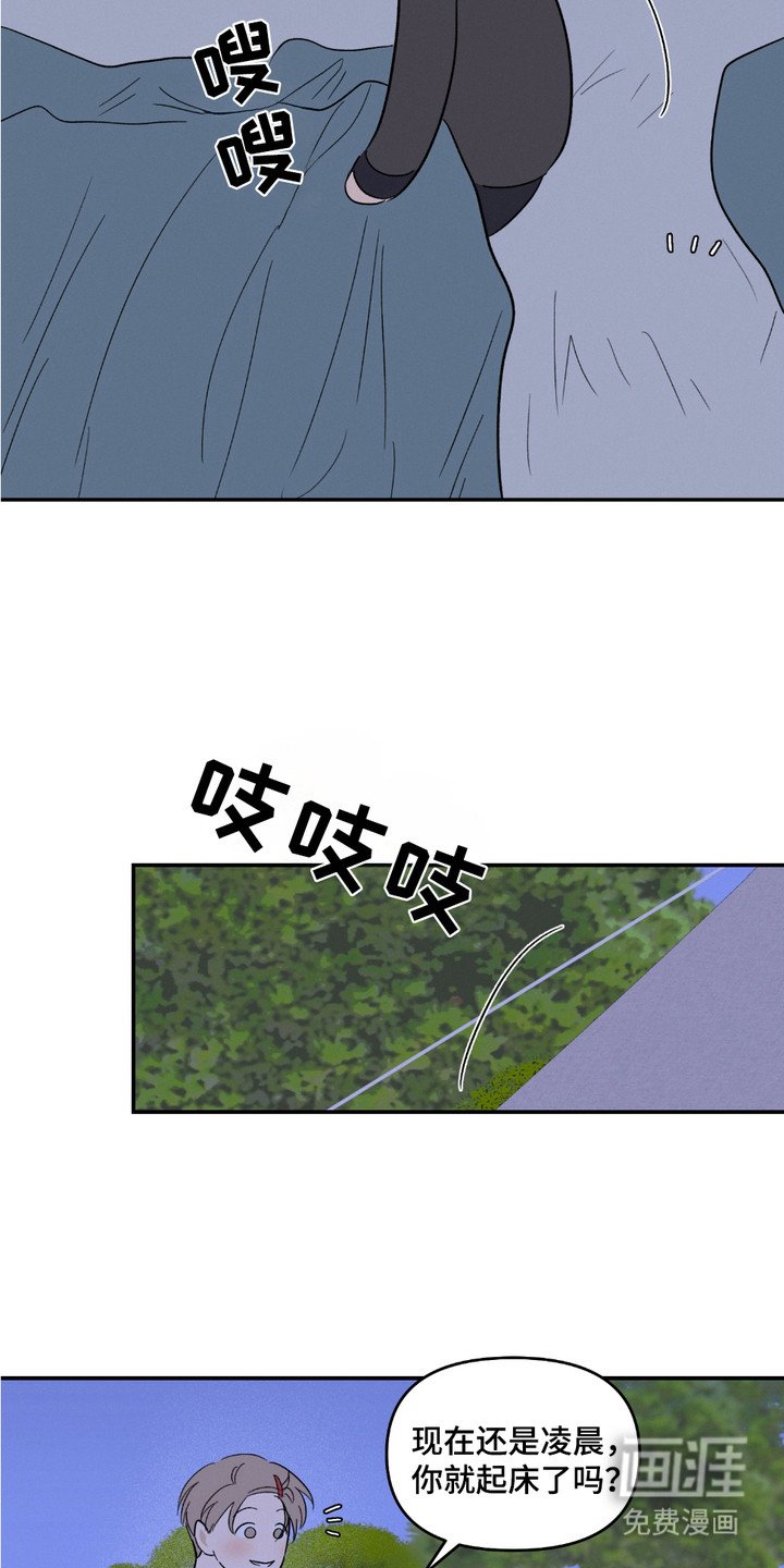 第12章：表白