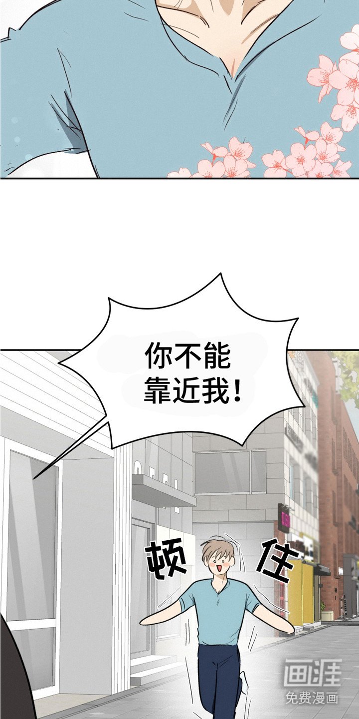 第15章：真心话（完结）
