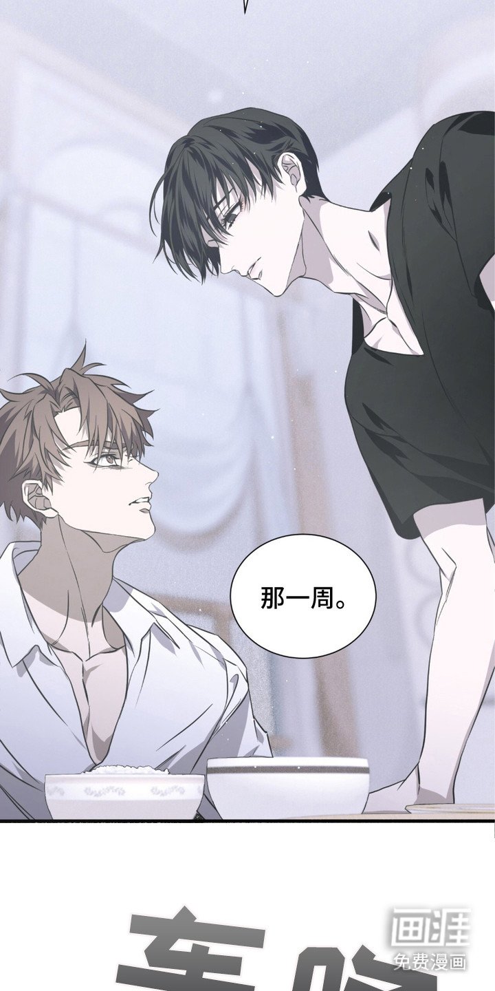 第13章：反胃
