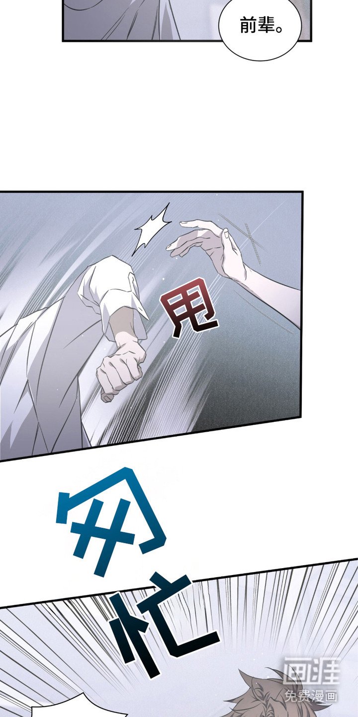 第13章：反胃