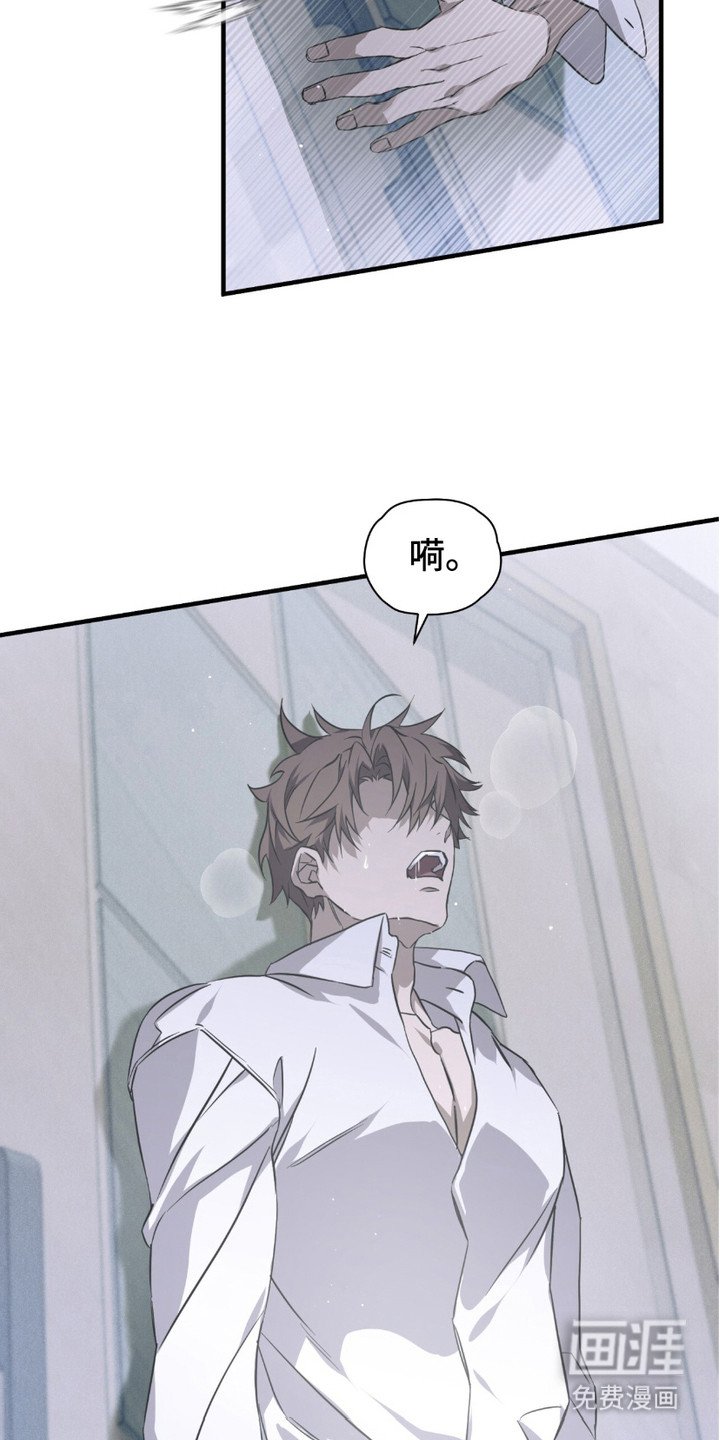 第13章：反胃