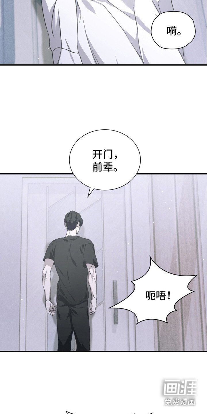 第13章：反胃