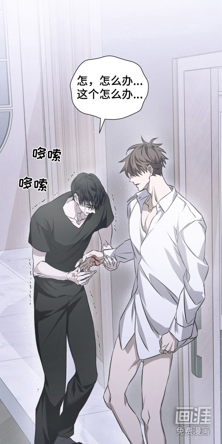 第16章： 该死的爱