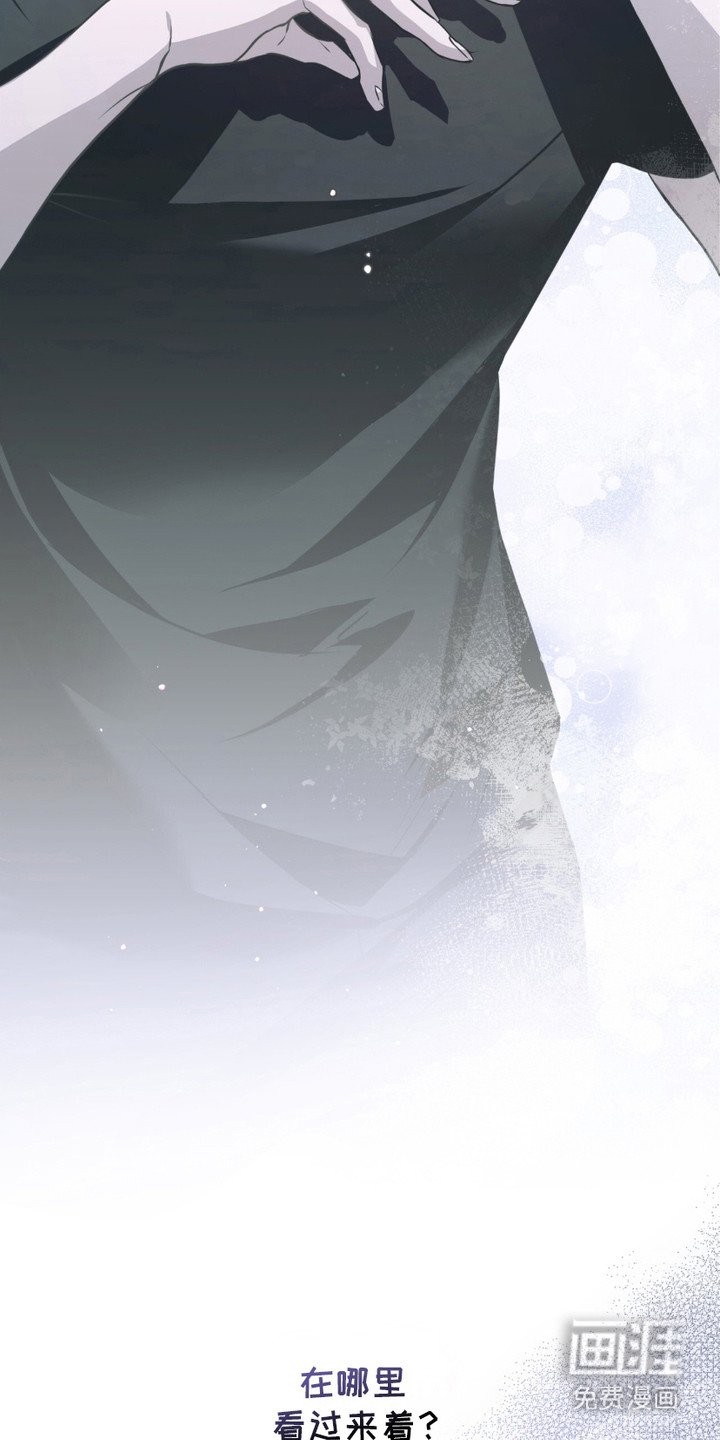 第16章： 该死的爱
