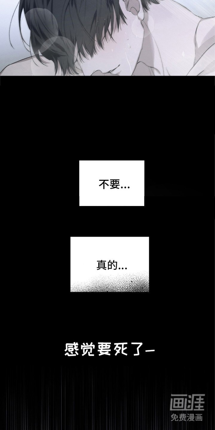 第2章：惊醒