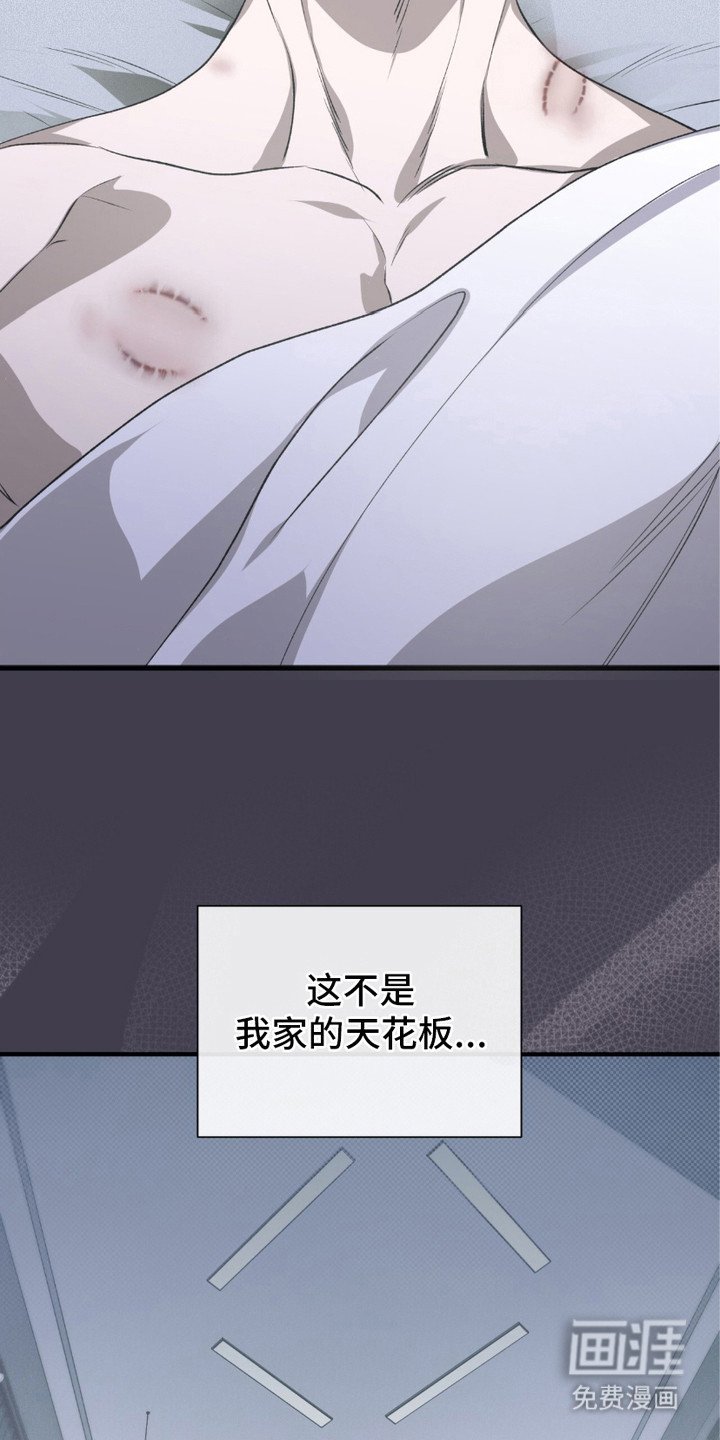 第2章：惊醒