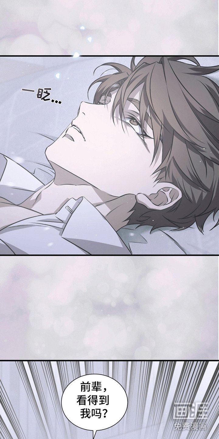 第20章：希望