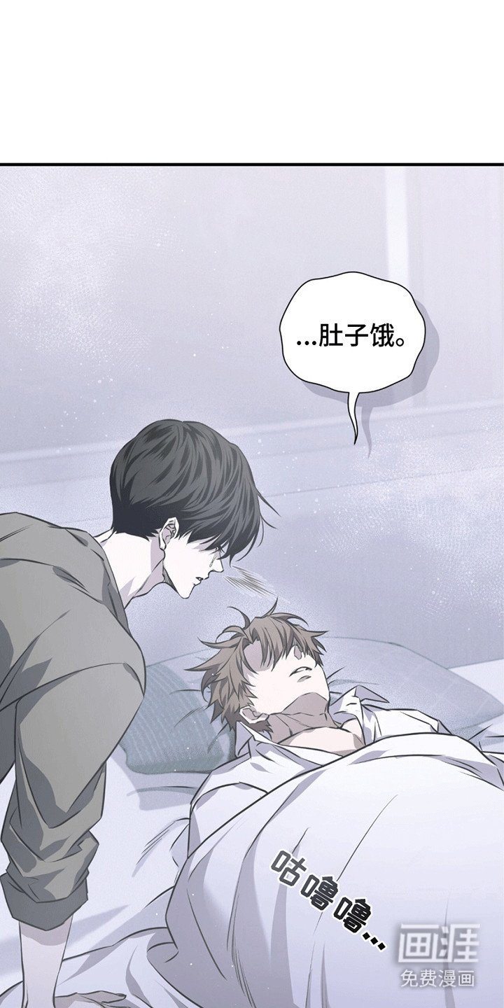 第20章：希望