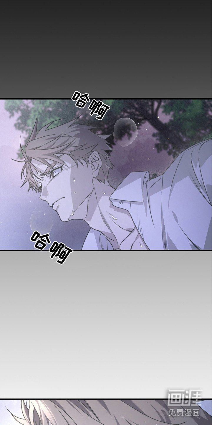 第25章：出逃失败