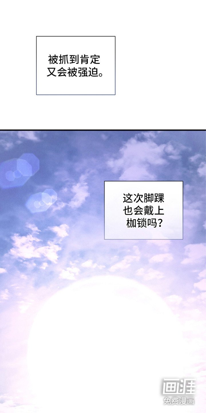 第25章：出逃失败