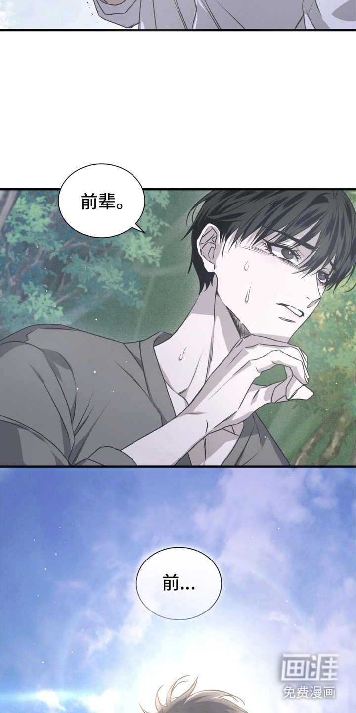 第26章： 摊牌