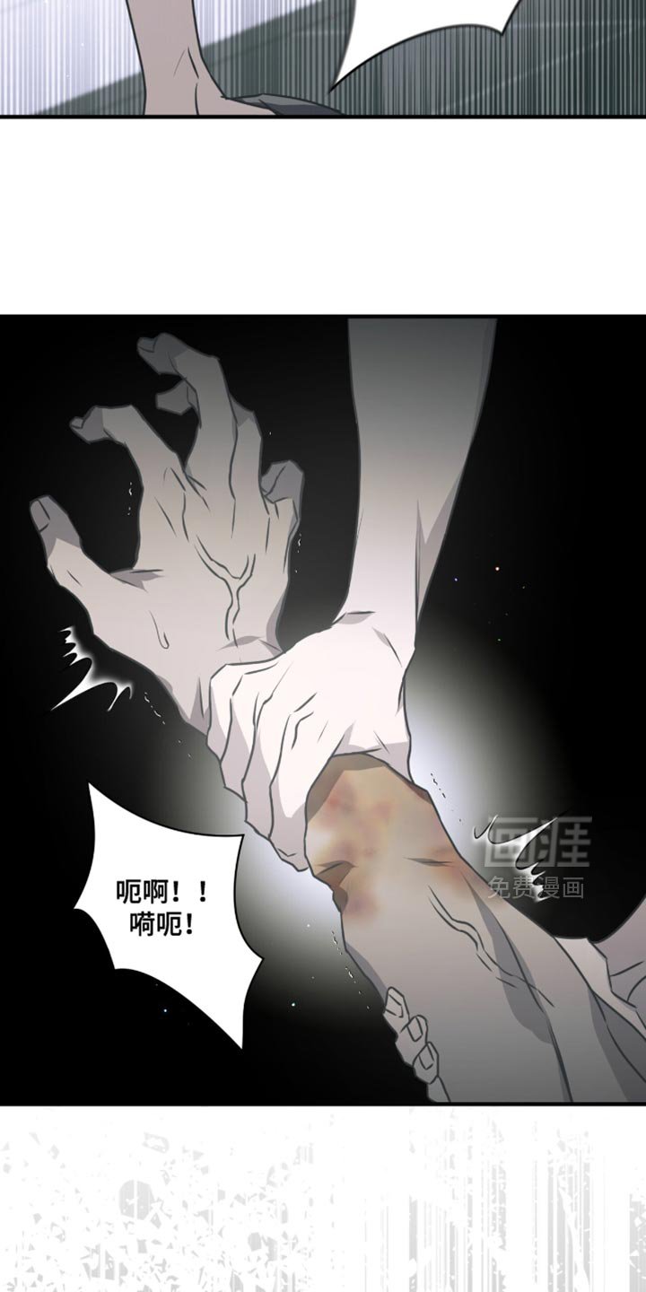 第31章：回去吧