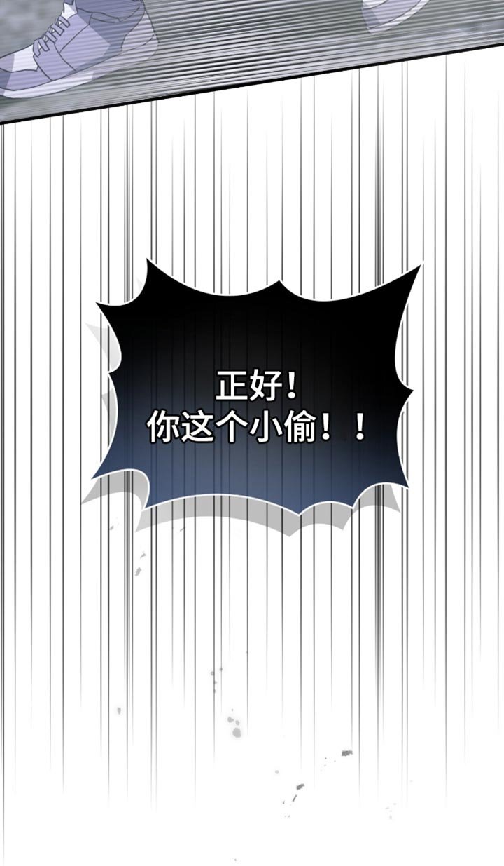 第39章：你这个小偷！
