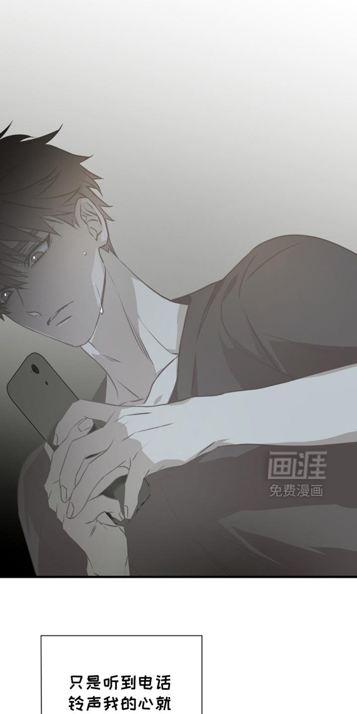 第41章：电话
