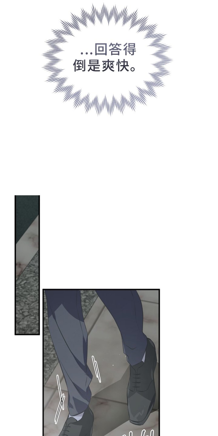 第47章：伪装