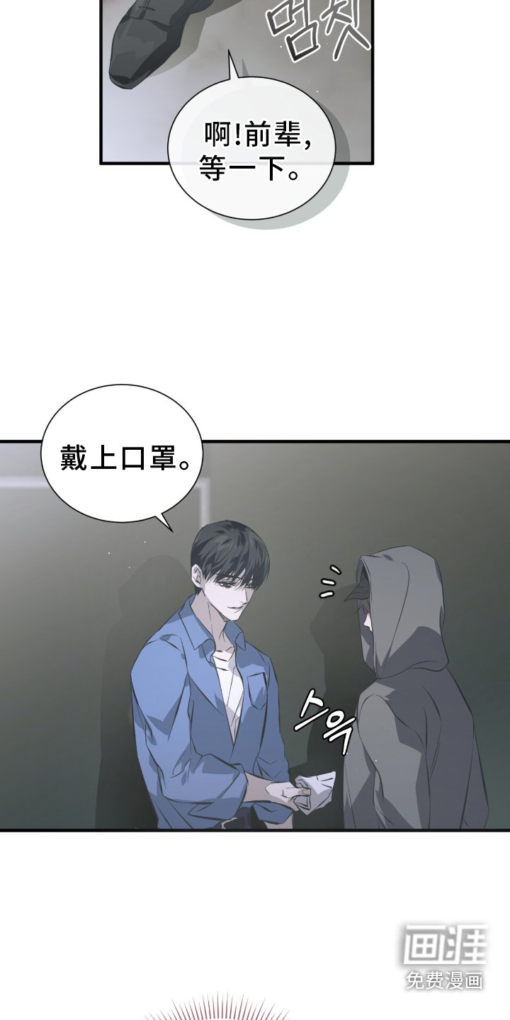 第47章：伪装