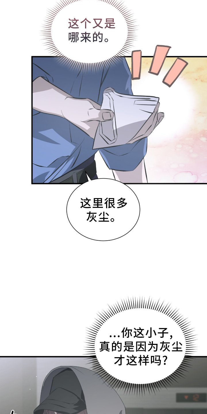第47章：伪装