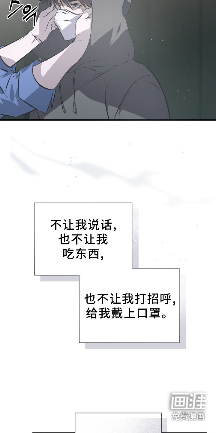 第47章：伪装