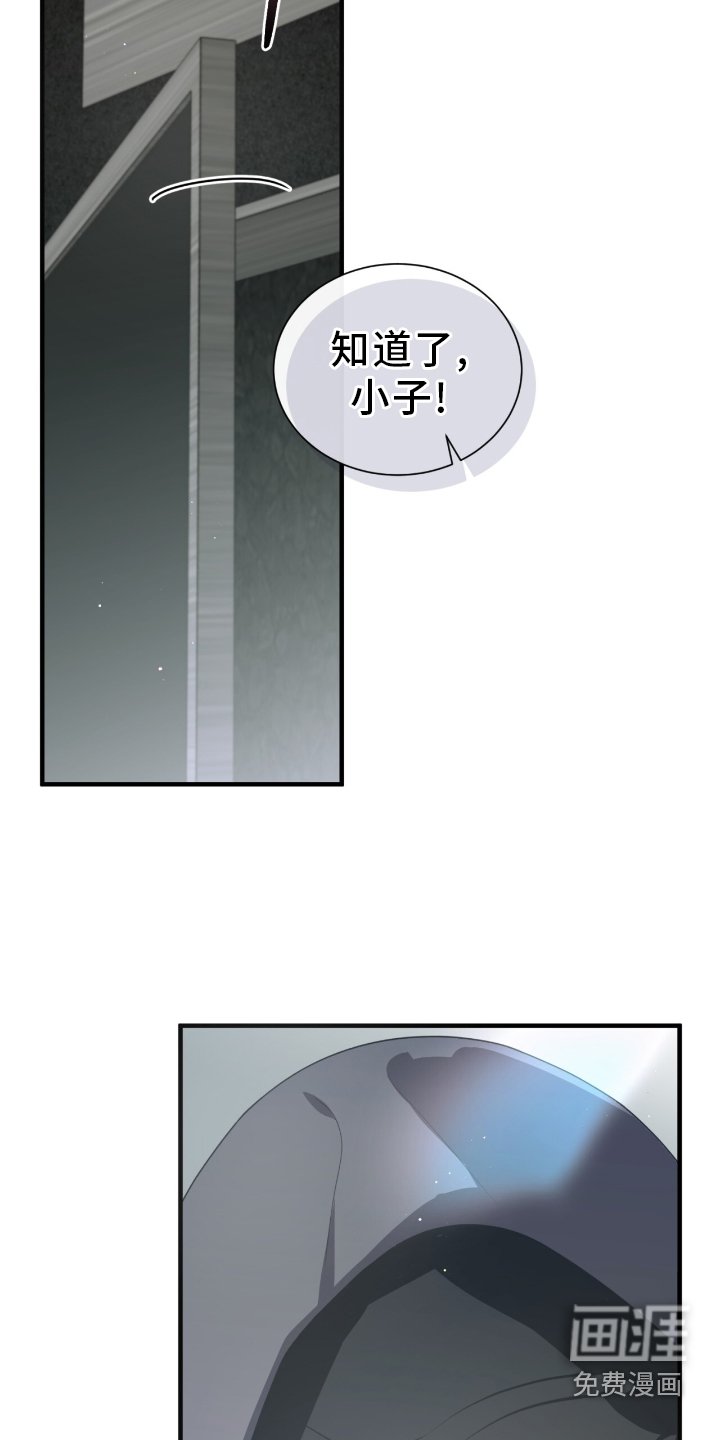 第47章：伪装