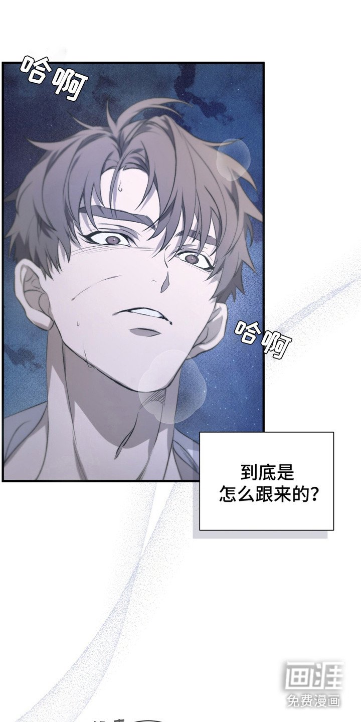 第5章：疯子