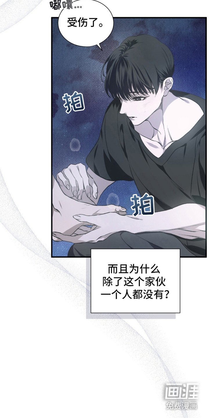 第5章：疯子