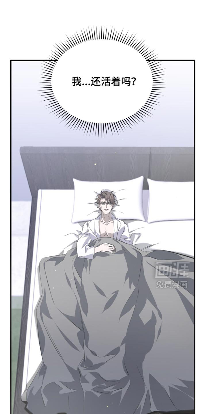 第53章：太好看了