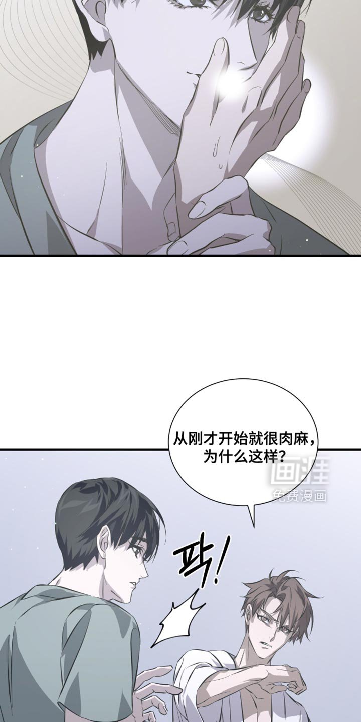 第53章：太好看了