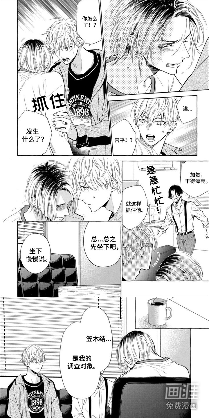 第13章：头发