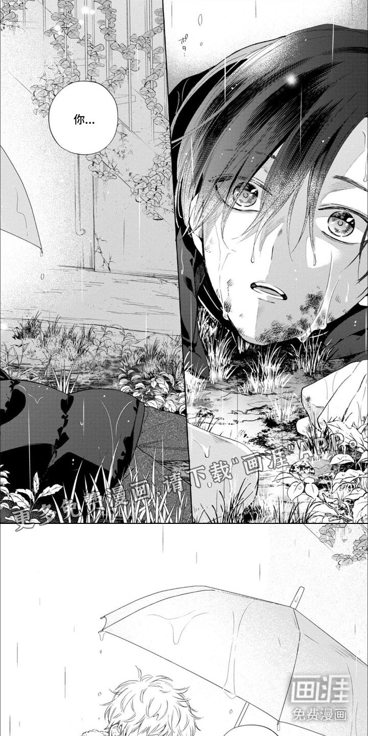 第16章：带回家