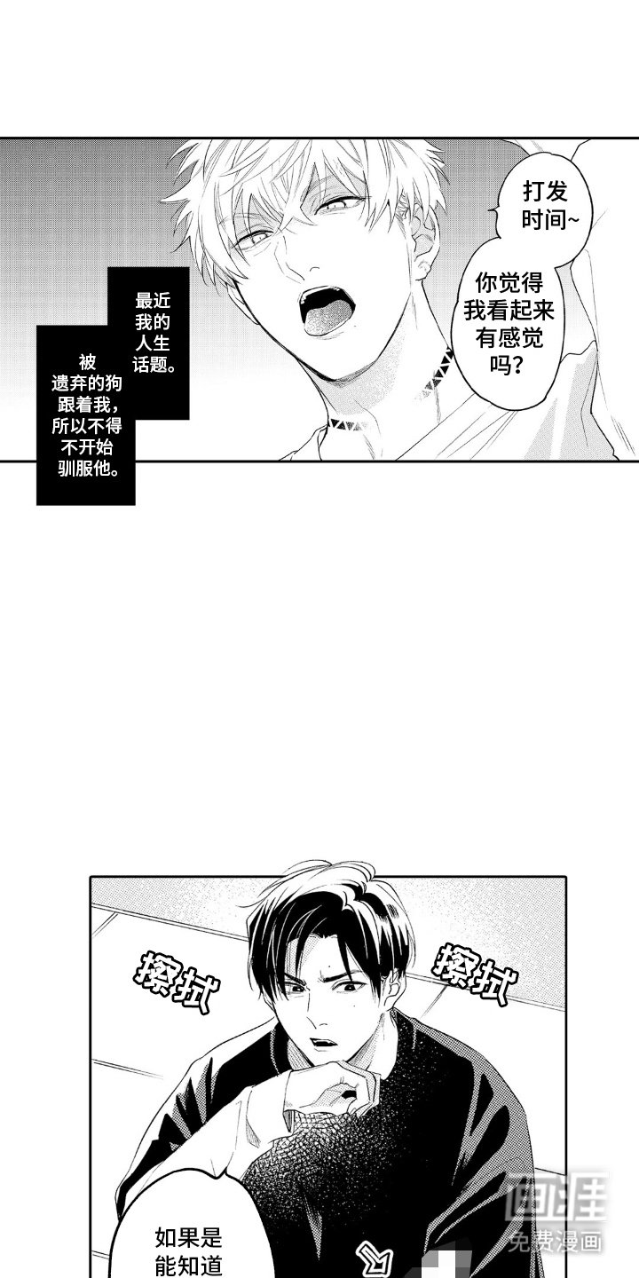 第11章：不得不驯服