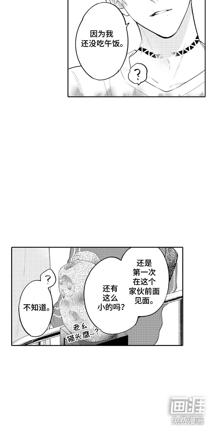 第16章：升级版