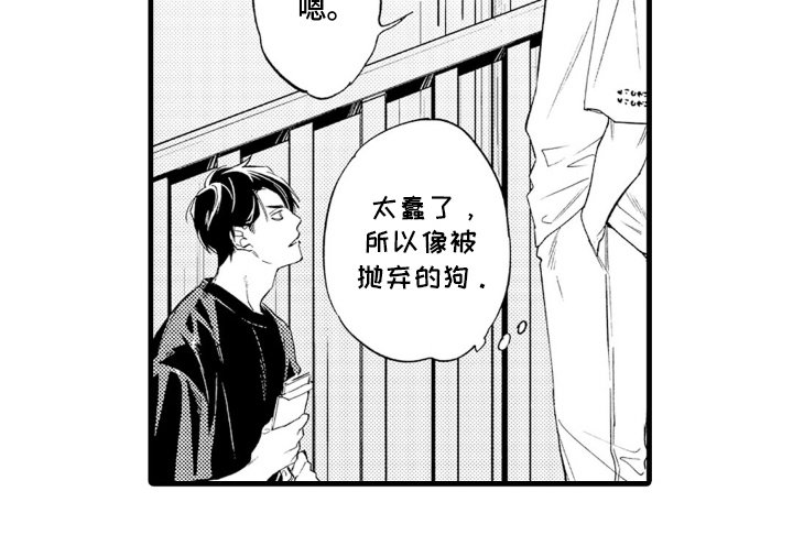 第2章：抛弃的小狗