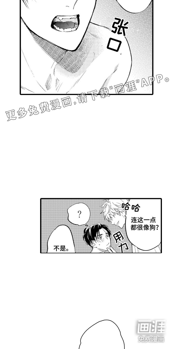 第4章：最大的问题