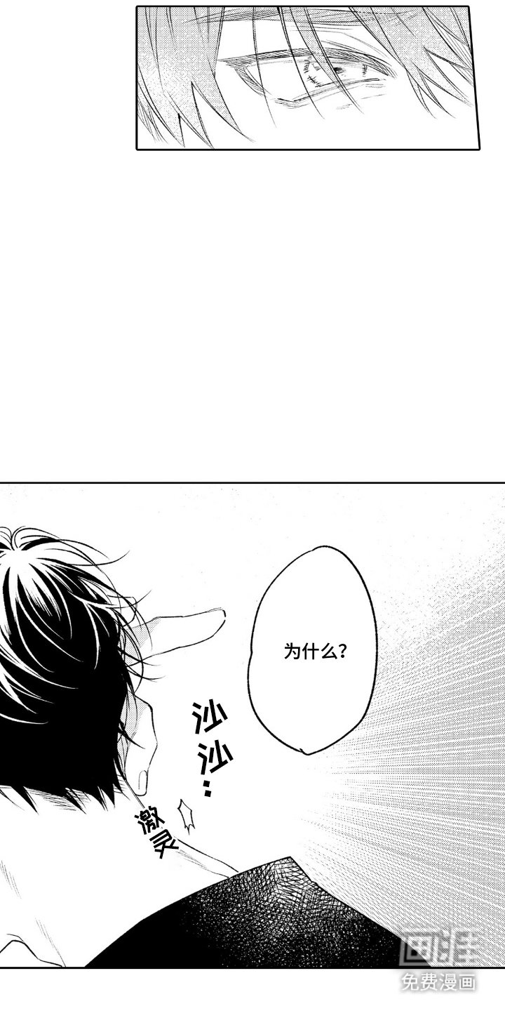 第5章：撒谎