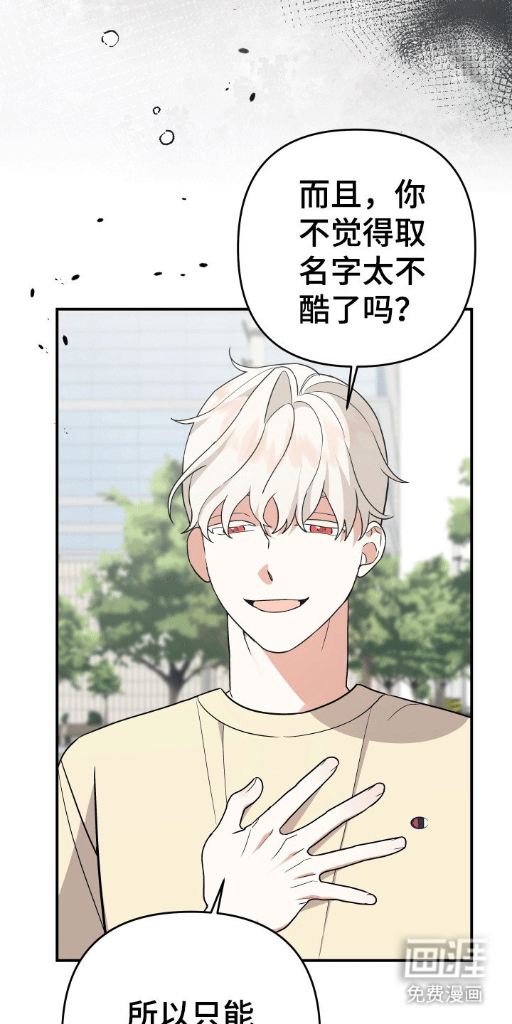 第13章：夜袭