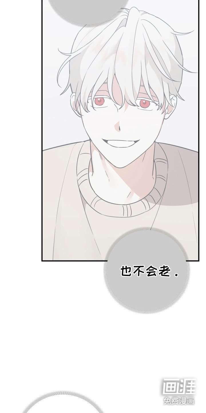 第5章：不变的容貌