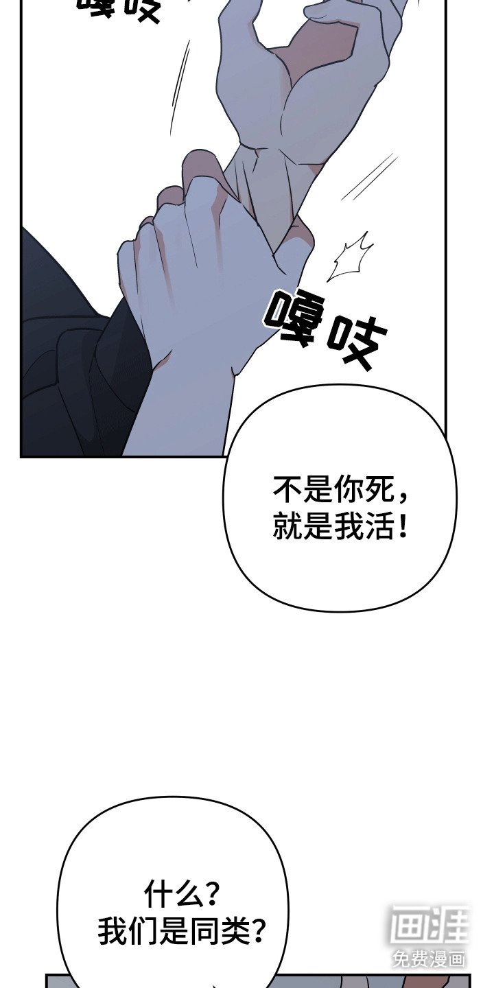 第9章：失忆