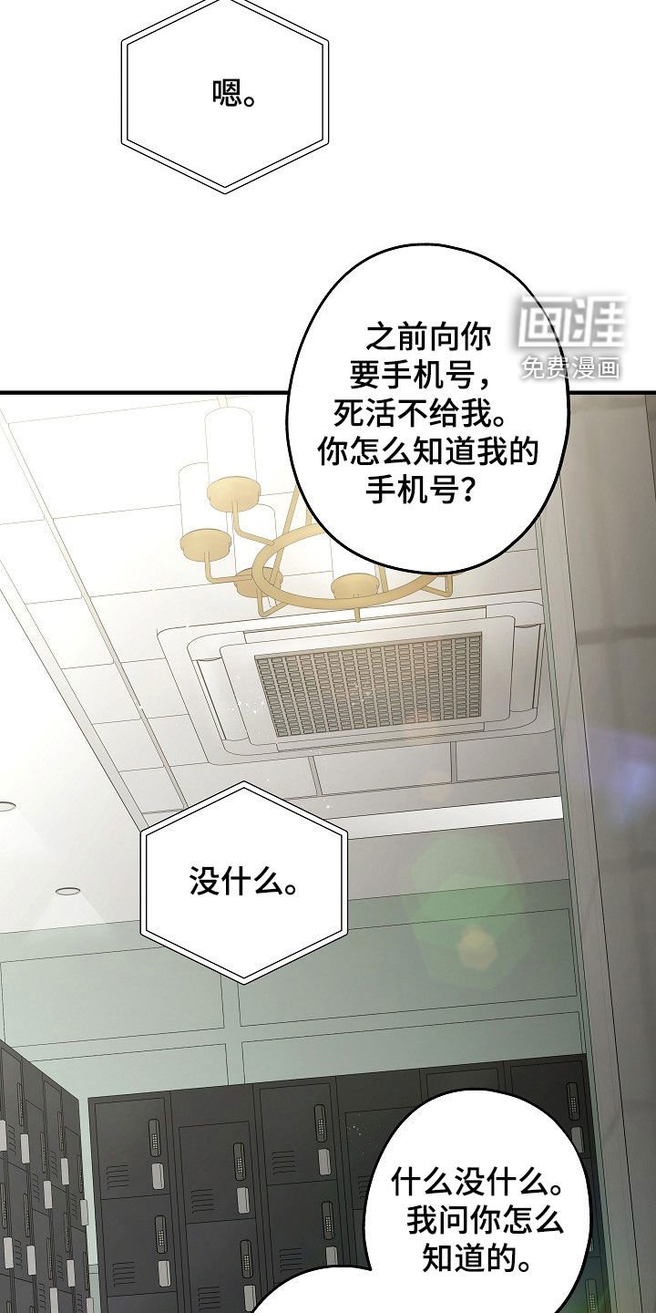 第19章：你不介意得话