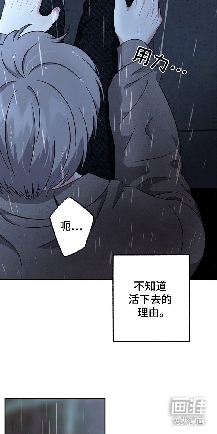 第3章：心烦意乱