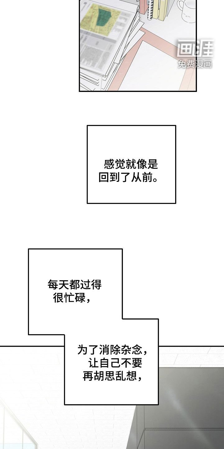 第37章：真心喜欢