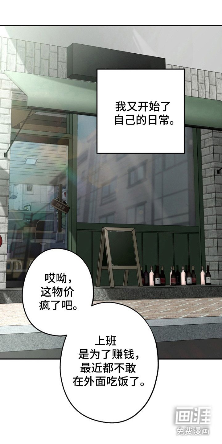 第6章：选择权