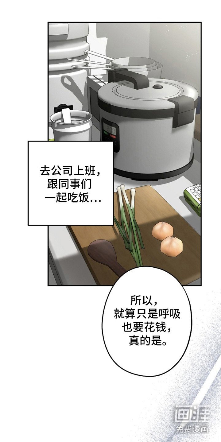 第6章：选择权