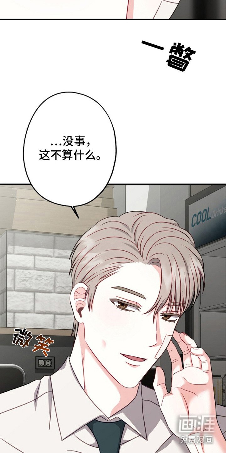 第6章：选择权