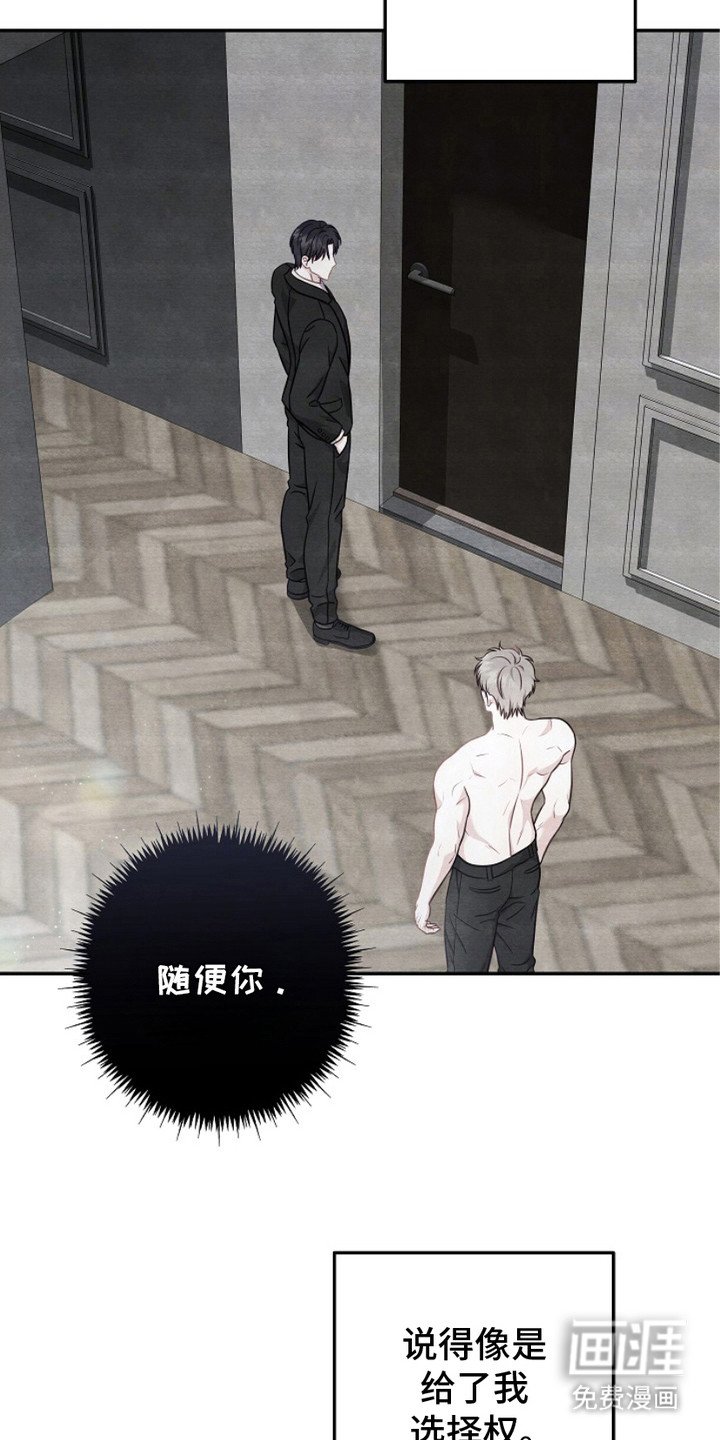 第6章：选择权